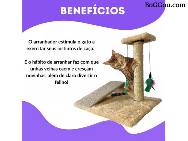 A venda Arranhadores para Gatos com Melhores Preços!