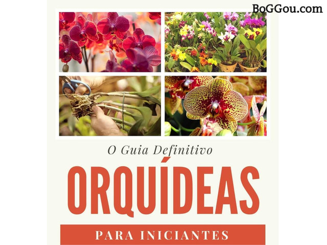 Guia definitivo - Orquídeas para iniciantes